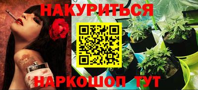 гидра Кудрово