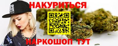 гидра Кудрово