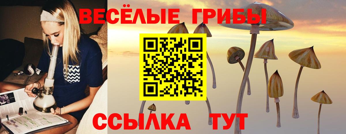 Псилоцибиновые грибы прущие грибы Белорецк