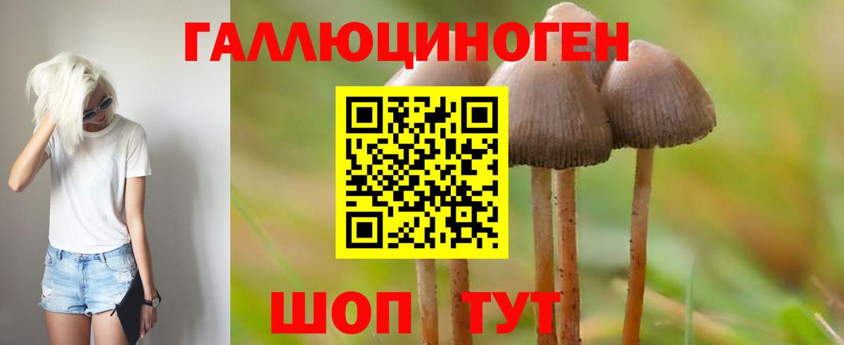 Белорецк  наркошоп  Вход с VPN  Псилоцибиновые грибы мухоморы  Псилоцибиновые грибы GOLDEN TEACHER 